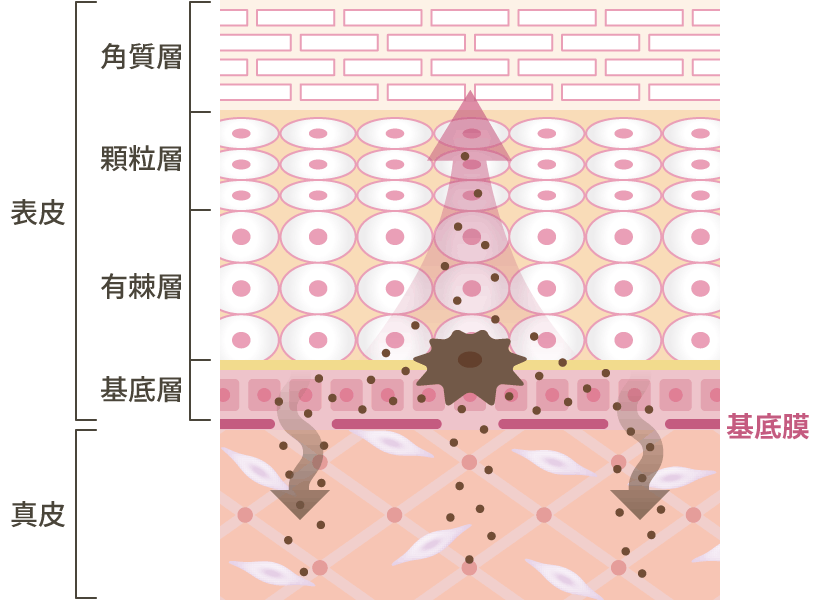ターンオーバーによって排出されない