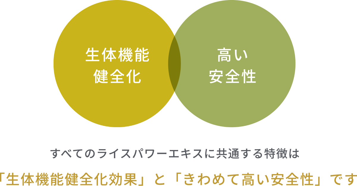 すべてのライスパワーエキスに共通する特徴は「生体機能健全化効果」と「きわめて高い安全性」です