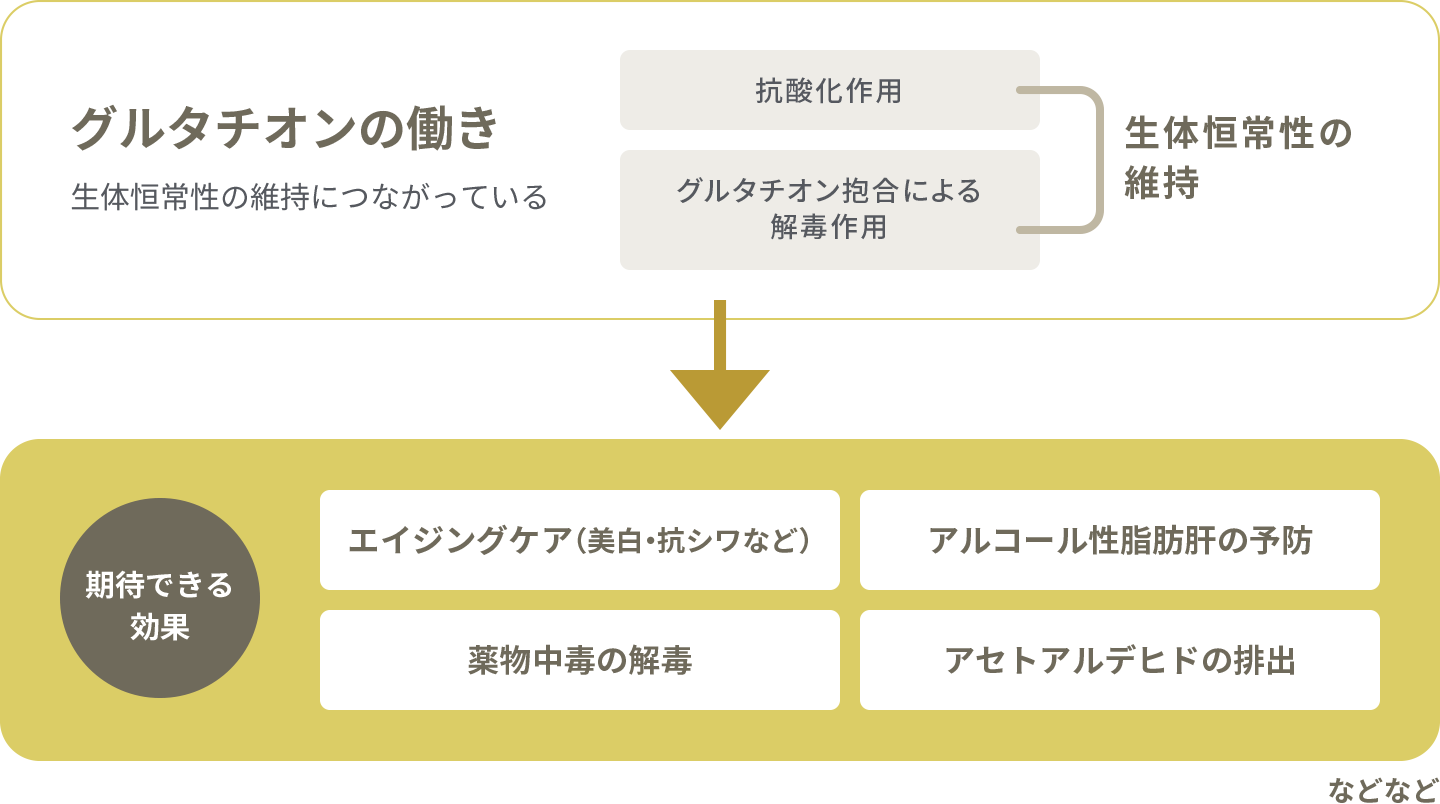 グルタチオンの働き→期待できる効果