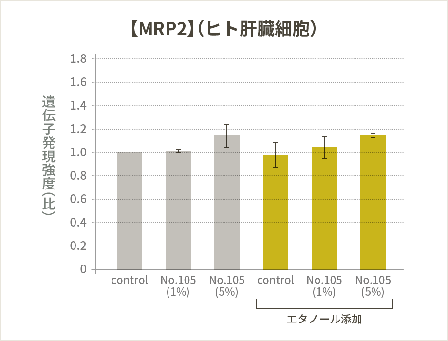 【MRP2】（ヒト肝臓細胞）