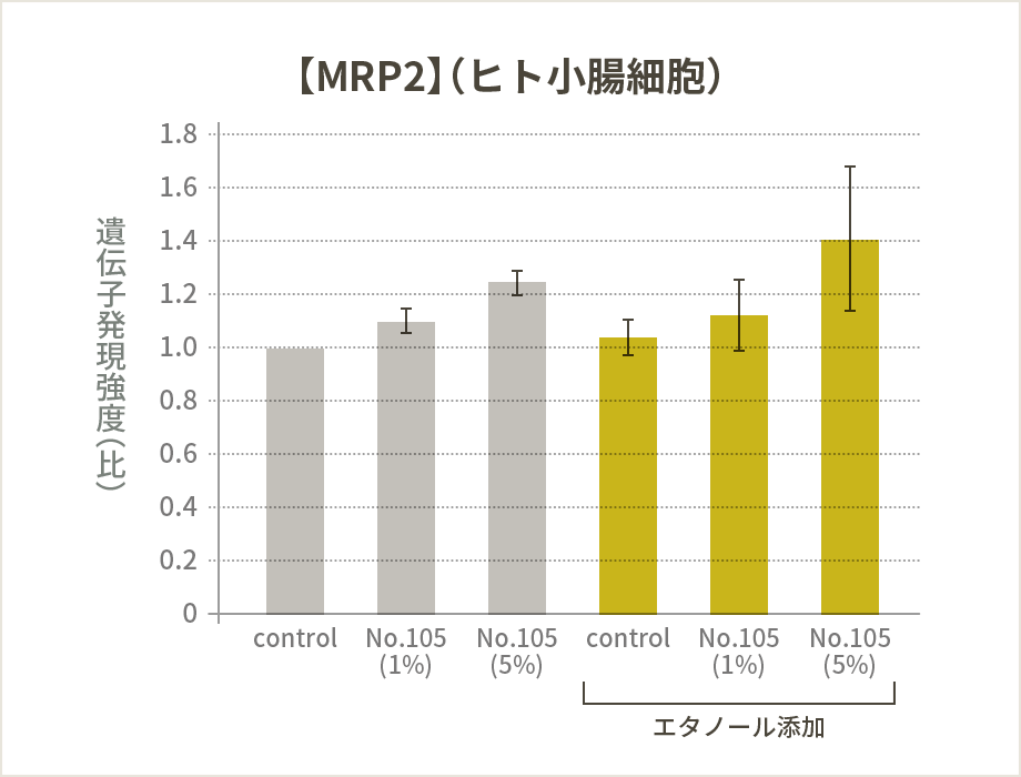 【MRP2】（ヒト小腸細胞）