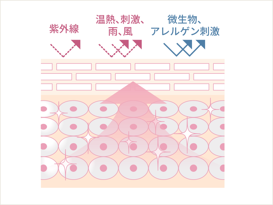 水分保持能改善効果