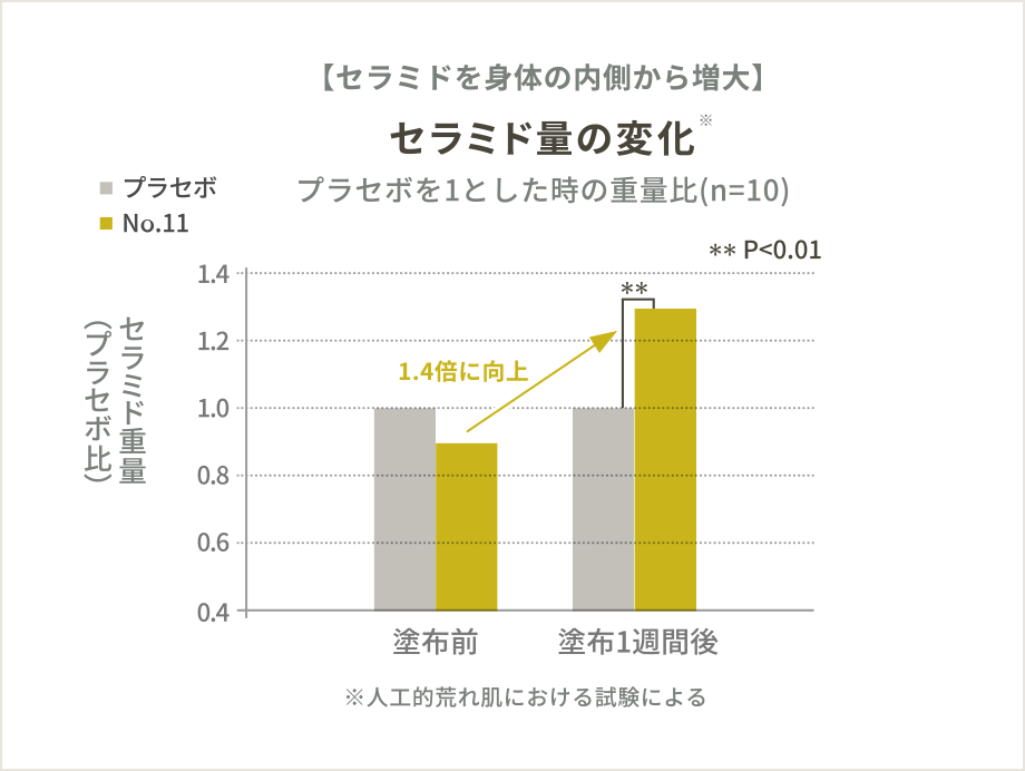 セラミドの増大効果