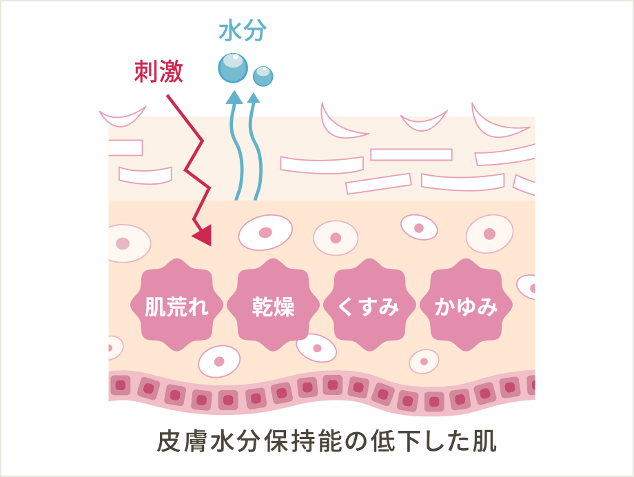 No.11の作用機序