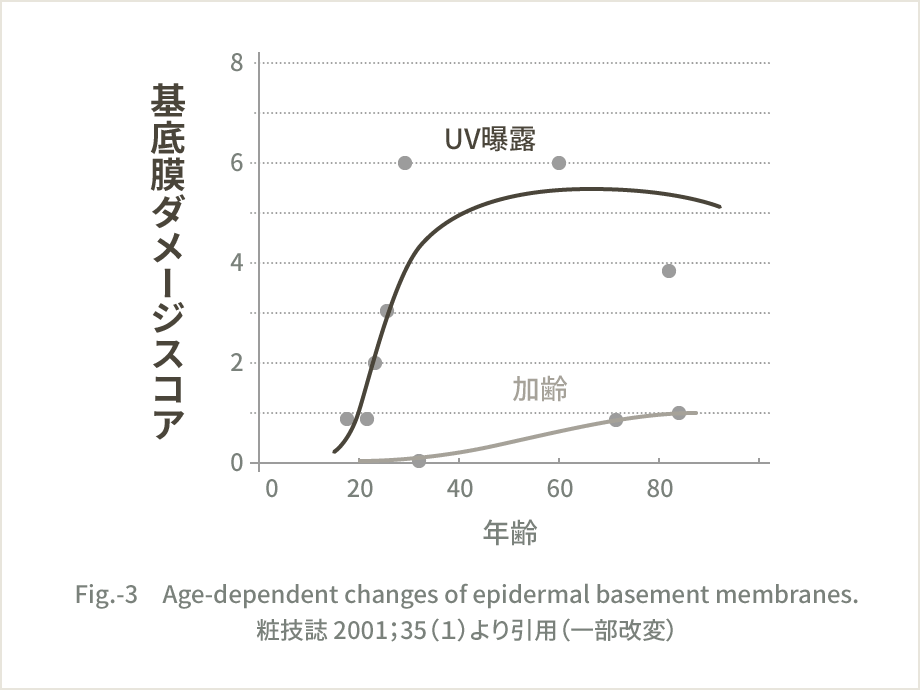 基底膜ダメージスコア