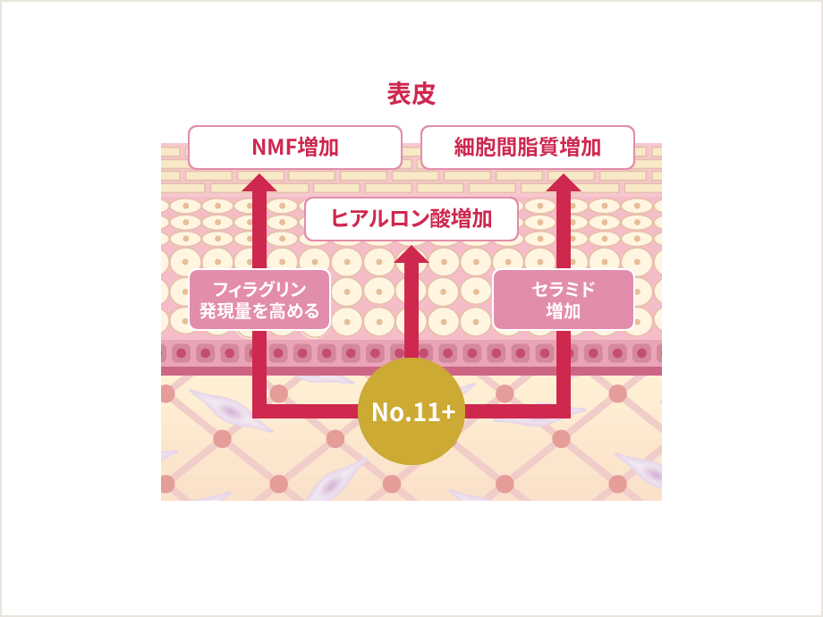 表⽪への直接アプローチによるシワ改善