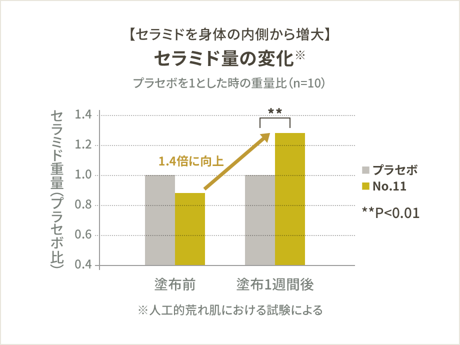 セラミド量の変化