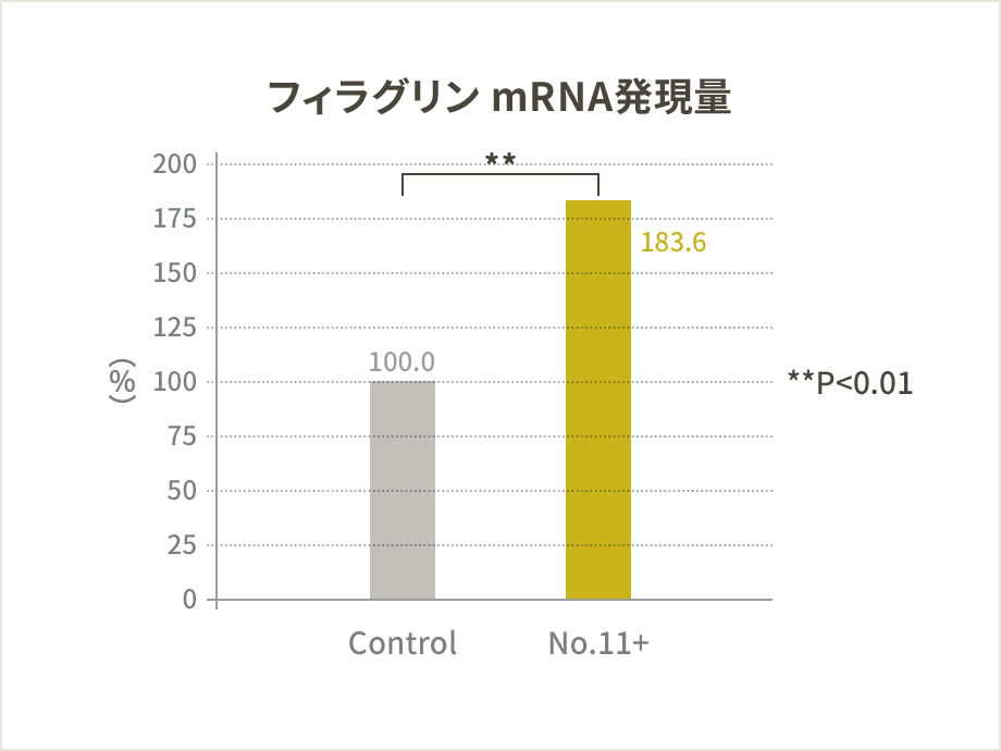 フィラグリン mRNA発現量