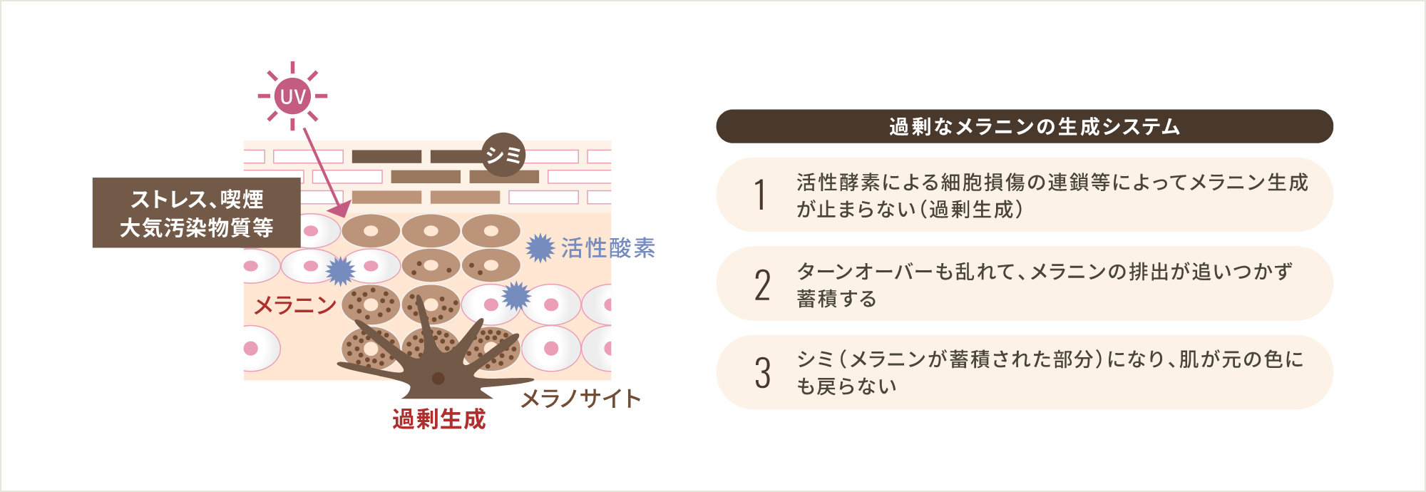 シミができるメカニズム