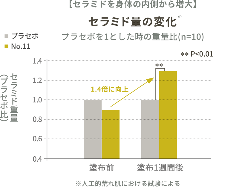 セラミド量の変化