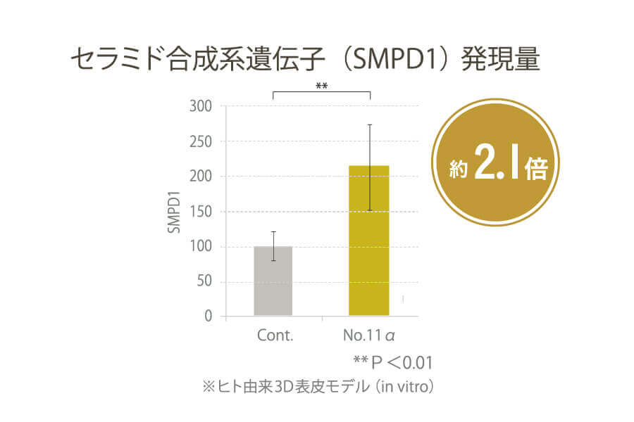 セラミド合成系遺伝子発現量データ